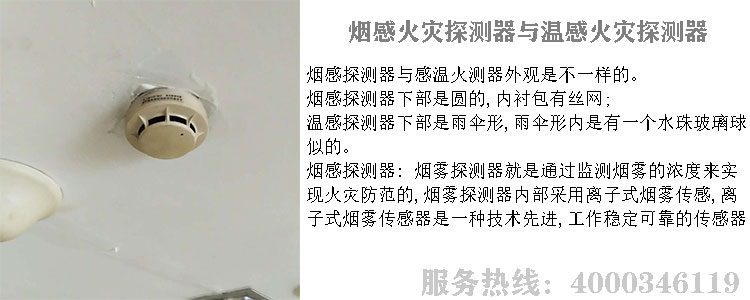 免费的小黄片探測器